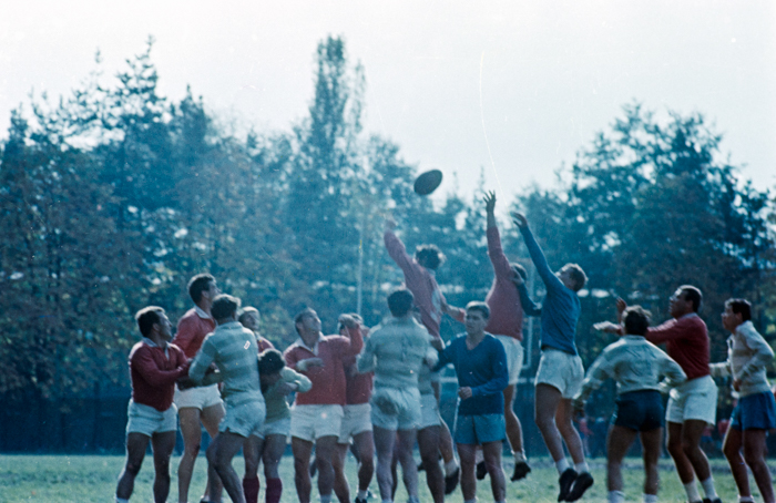 minerva_deak_f_c6_s3_color_323-053