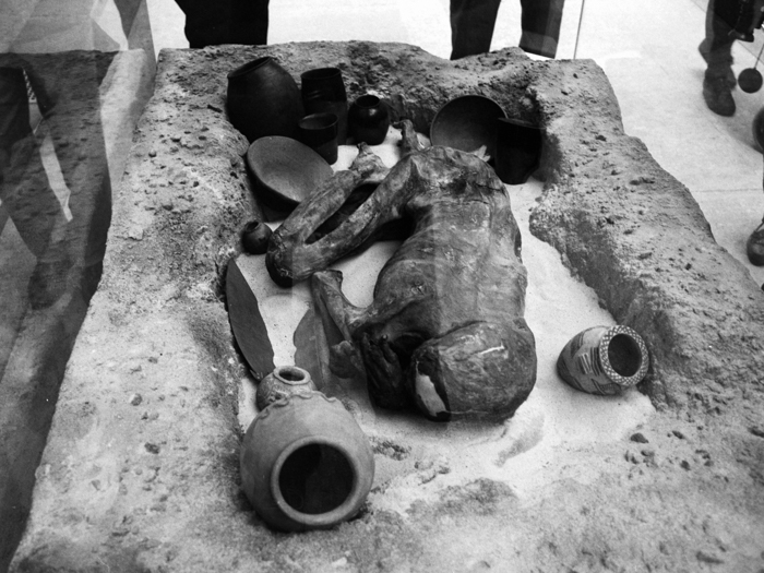 minerva_deak_f_c8_s1_001_1996_london-019