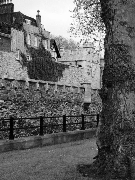 minerva_deak_f_c8_s1_003_1996_london-014-2