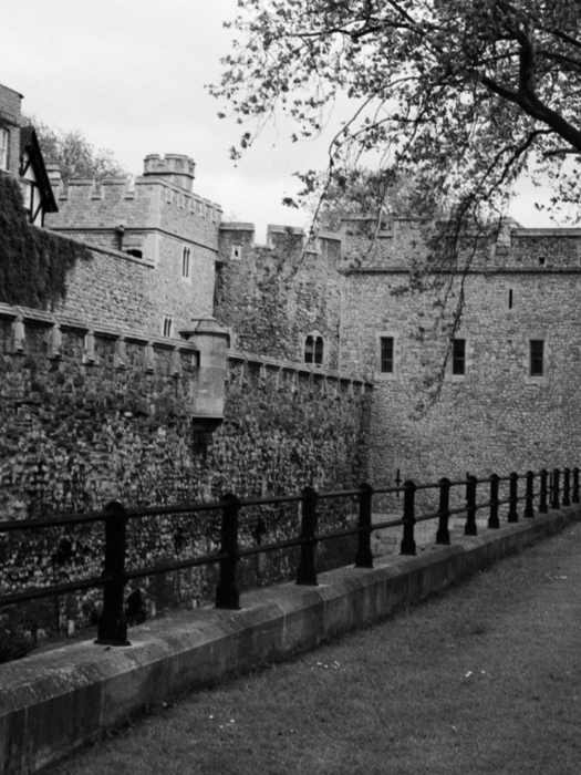 minerva_deak_f_c8_s1_003_1996_london-015-2