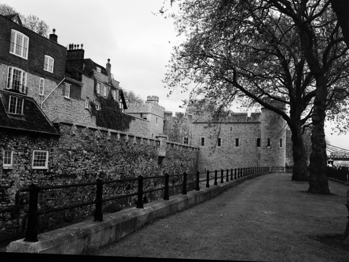 minerva_deak_f_c8_s1_003_1996_london-015