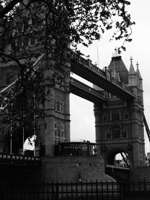 minerva_deak_f_c8_s1_003_1996_london-021-2