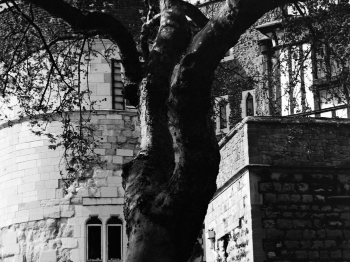 minerva_deak_f_c8_s1_012_1996_london-004