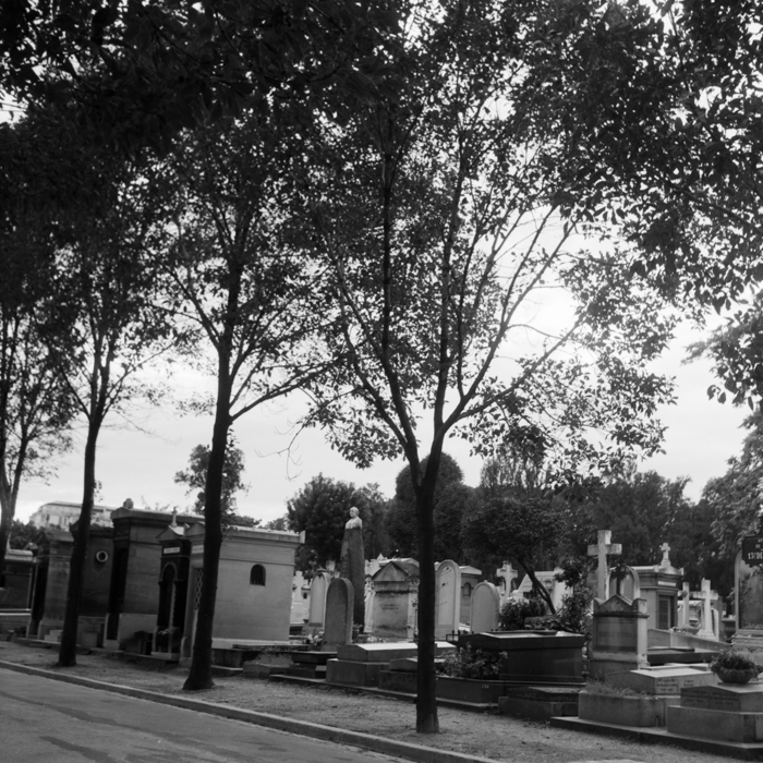 minerva_deak_f_c8_s1_398_1987_-11_montparnasse-012