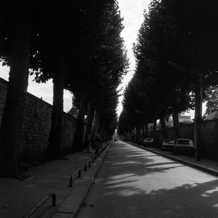 minerva_deak_f_c8_s1_398_1987_-17_montparnasse_temeto-006