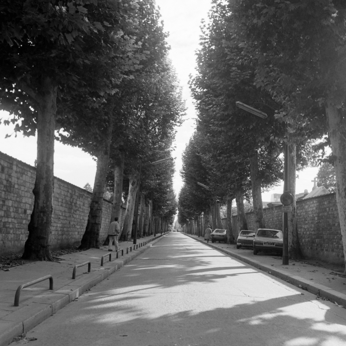 minerva_deak_f_c8_s1_398_1987_-17_montparnasse_temeto-007