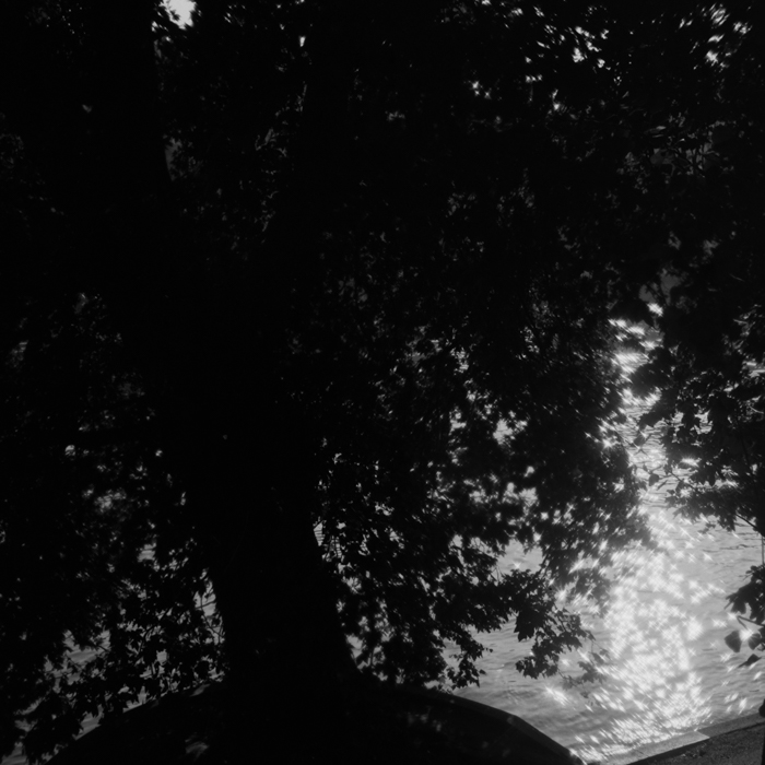 minerva_deak_f_c8_s1_398_1987_-25_szajna-006