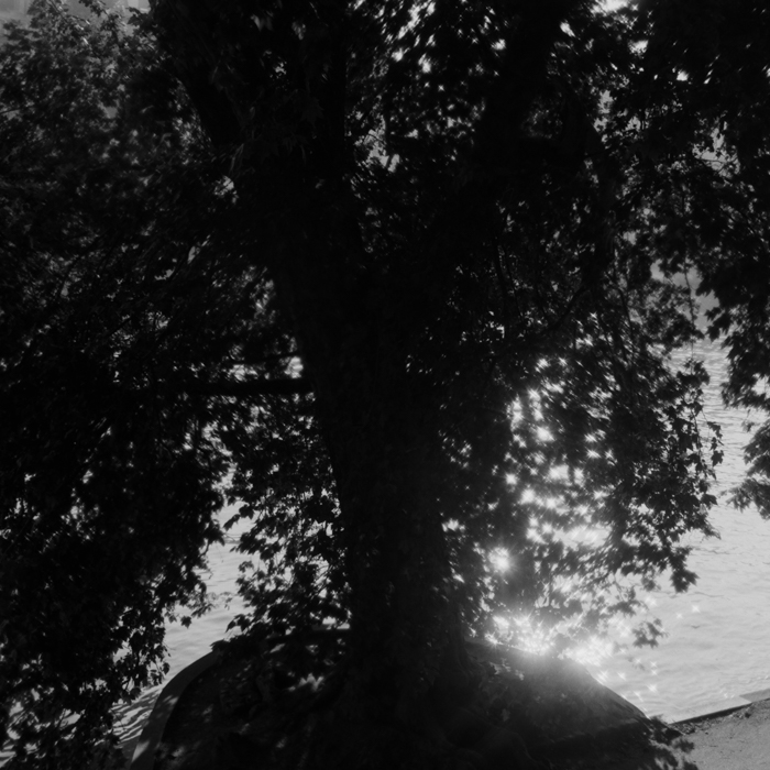 minerva_deak_f_c8_s1_398_1987_-25_szajna-007