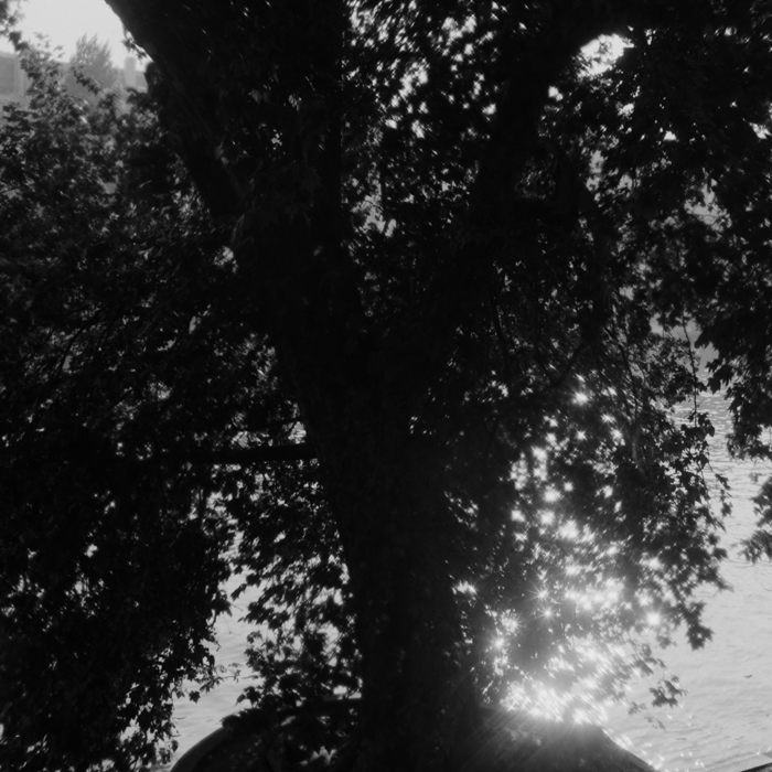 minerva_deak_f_c8_s1_398_1987_-25_szajna-008