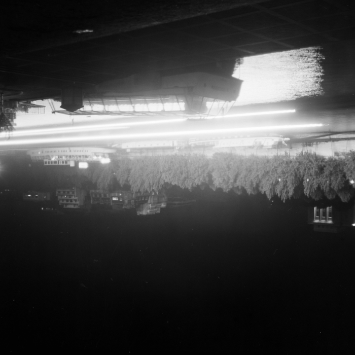 minerva_deak_f_c8_s1_398_1987_-2_este-018