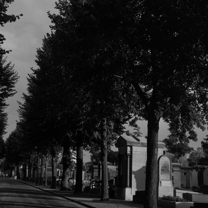 minerva_deak_f_c8_s1_398_1987_-31_montparnasse_paris-003