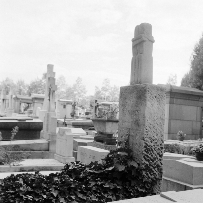 minerva_deak_f_c8_s1_398_1987_-5_brancusi-014