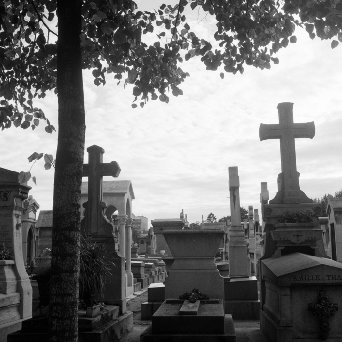 minerva_deak_f_c8_s1_398_1987_-6_brancusi-008