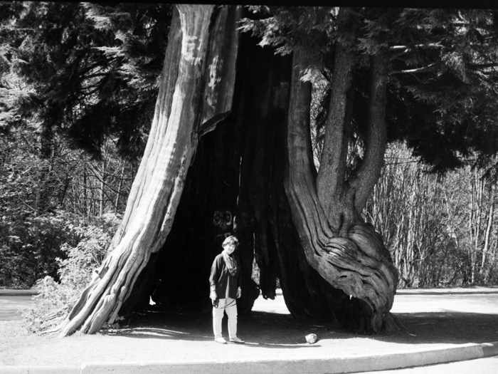 minerva_deak_f_c8_s1_583-002