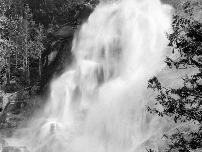 minerva_deak_f_c8_s1_583-16_1993_vizeses-010