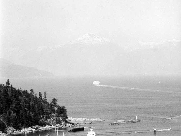 minerva_deak_f_c8_s1_583-17_1993_vizeses-003