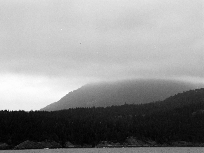 minerva_deak_f_c8_s1_583-18_1993_vizeses-006