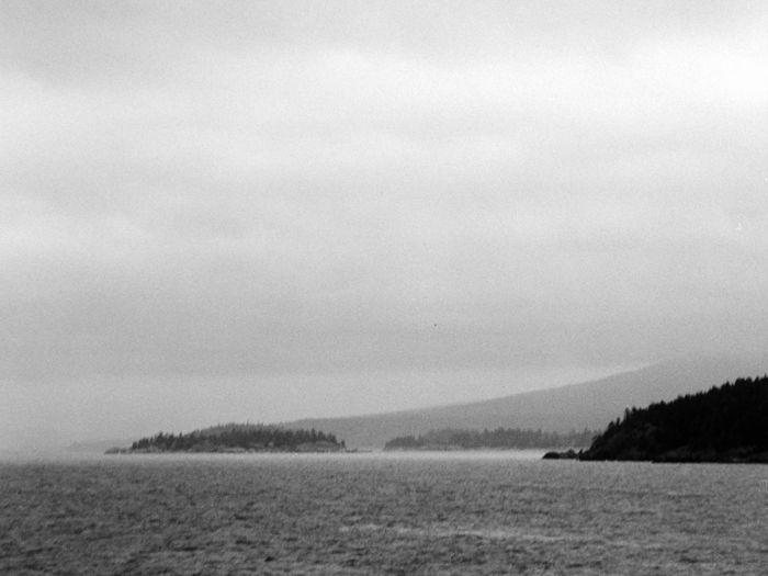 minerva_deak_f_c8_s1_583-18_1993_vizeses-009