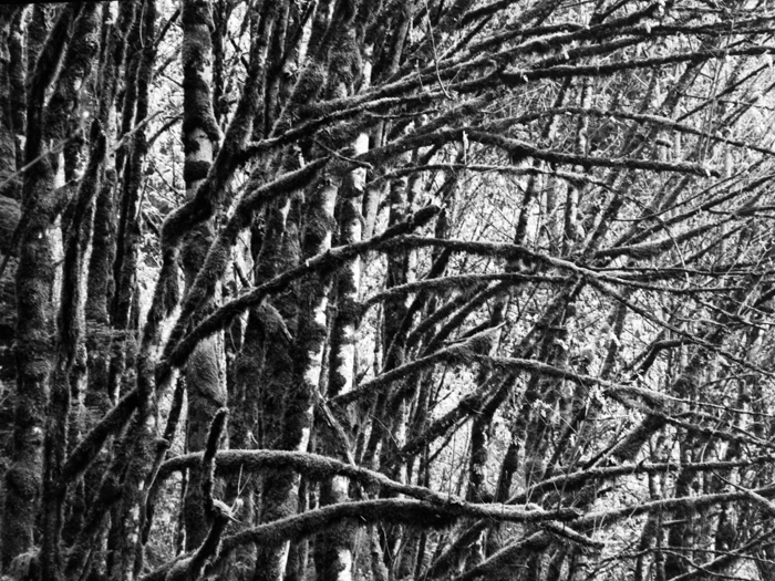 minerva_deak_f_c8_s1_583-18_1993_vizeses-012