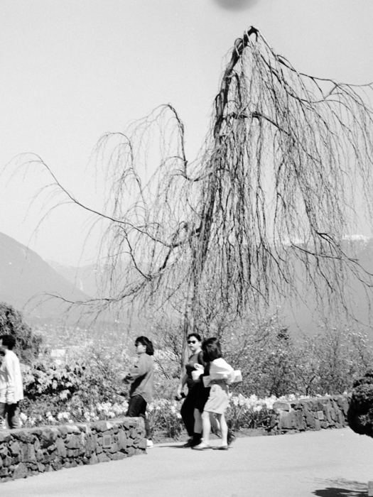 minerva_deak_f_c8_s1_583-1_1991_Vancouver_city-004