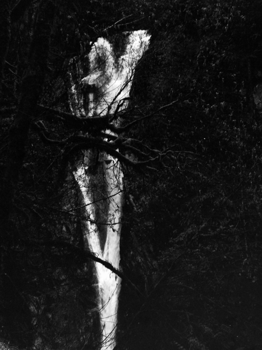 minerva_deak_f_c8_s1_583-20_1993_vancouver_island-001