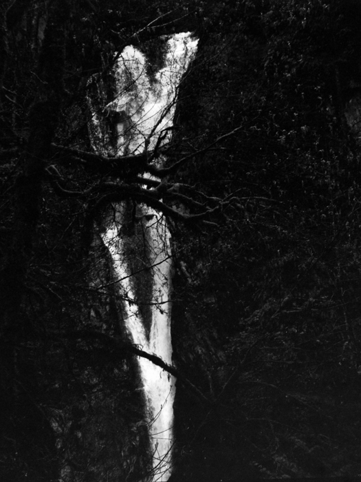 minerva_deak_f_c8_s1_583-20_1993_vancouver_island-002