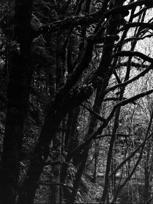 minerva_deak_f_c8_s1_583-20_1993_vancouver_island-004