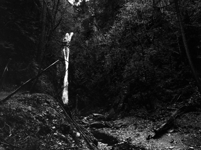 minerva_deak_f_c8_s1_583-20_1993_vancouver_island-008