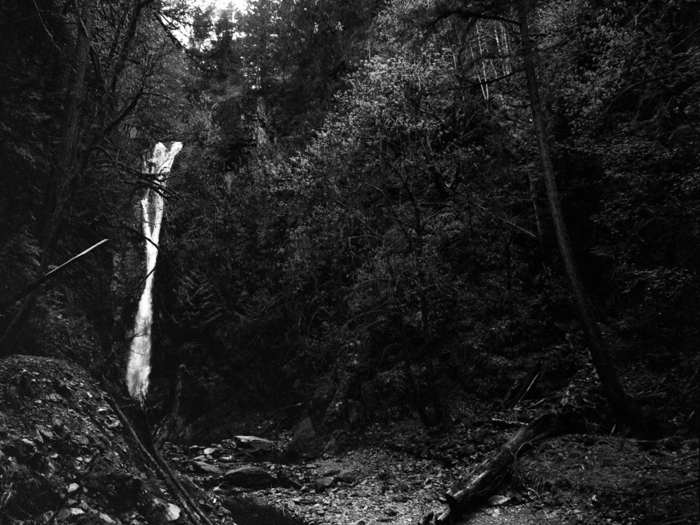 minerva_deak_f_c8_s1_583-20_1993_vancouver_island-009