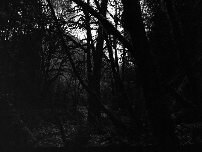 minerva_deak_f_c8_s1_583-20_1993_vancouver_island-010