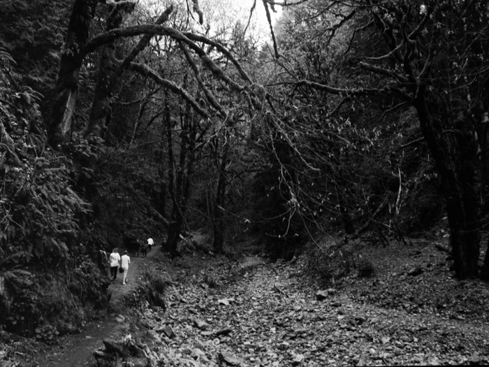 minerva_deak_f_c8_s1_583-20_1993_vancouver_island-012