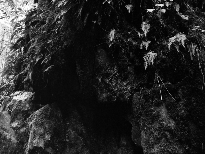 minerva_deak_f_c8_s1_583-20_1993_vancouver_island-014