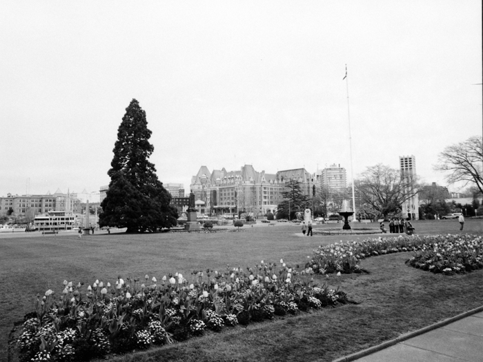 minerva_deak_f_c8_s1_583-22_1993_victoria-012