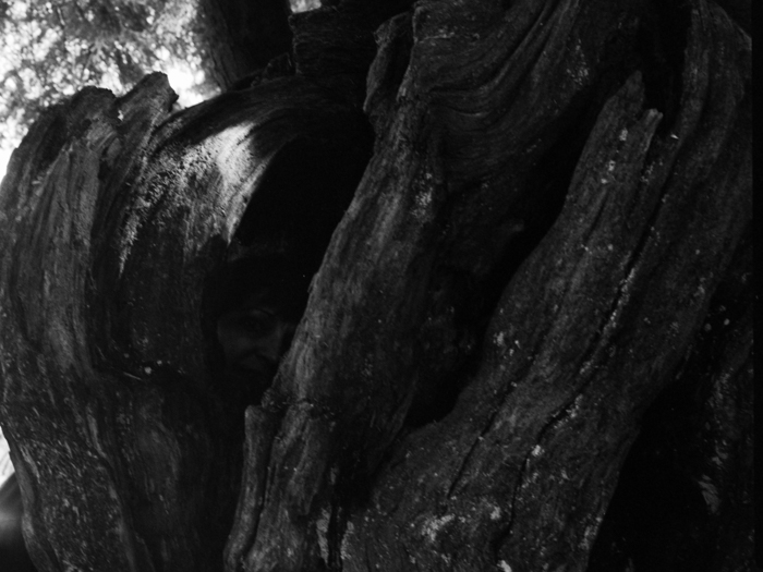 minerva_deak_f_c8_s1_583-23_gyokerek-003