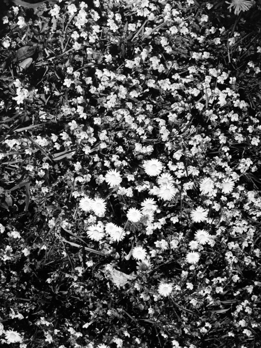 minerva_deak_f_c8_s1_583-2_1993_city-009