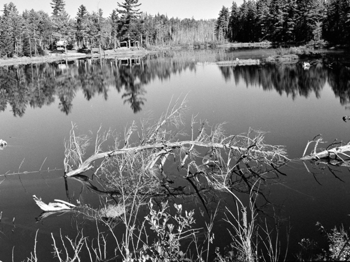 minerva_deak_f_c8_s1_767_1995_-13_montreal-050