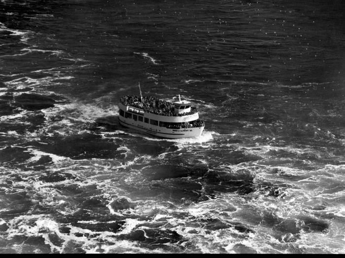 minerva_deak_f_c8_s1_767_1995_-17_toronto-003