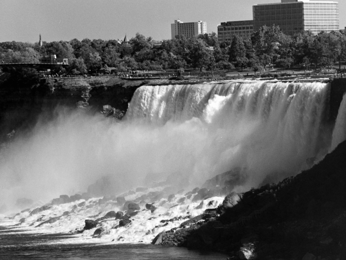 minerva_deak_f_c8_s1_767_1995_-17_toronto-015