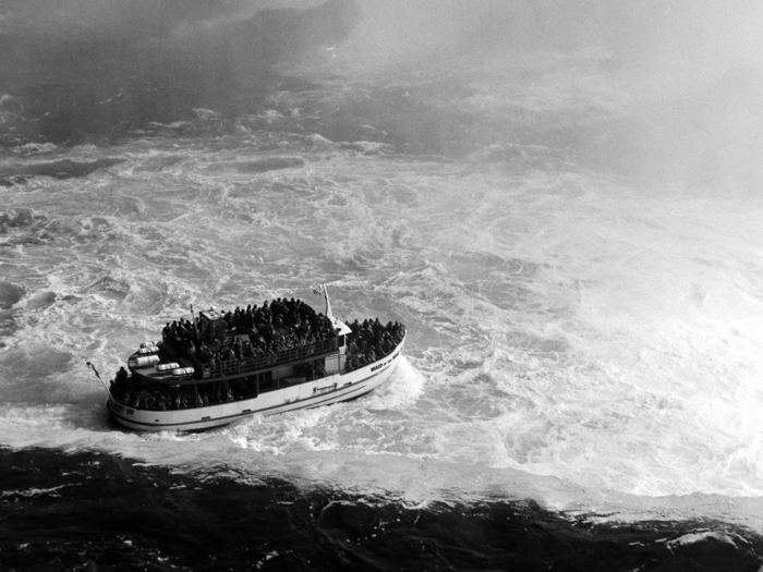 minerva_deak_f_c8_s1_767_1995_-17_toronto-037