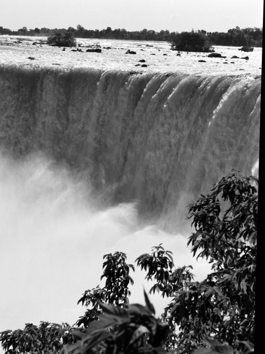 minerva_deak_f_c8_s1_767_1995_-17_toronto-042