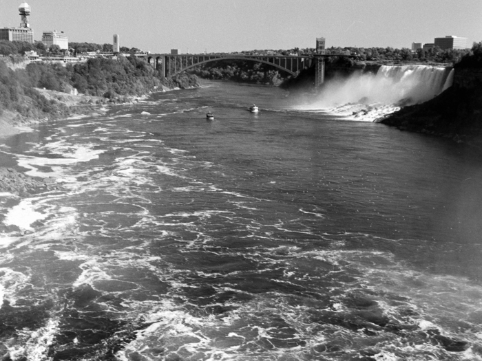 minerva_deak_f_c8_s1_767_1995_-17_toronto-044