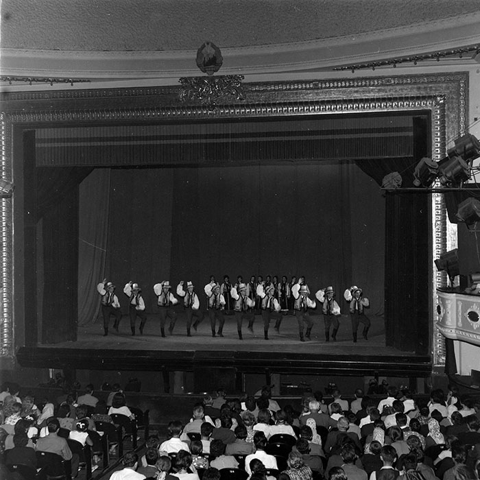 minerva_diverse_c1_c1_006