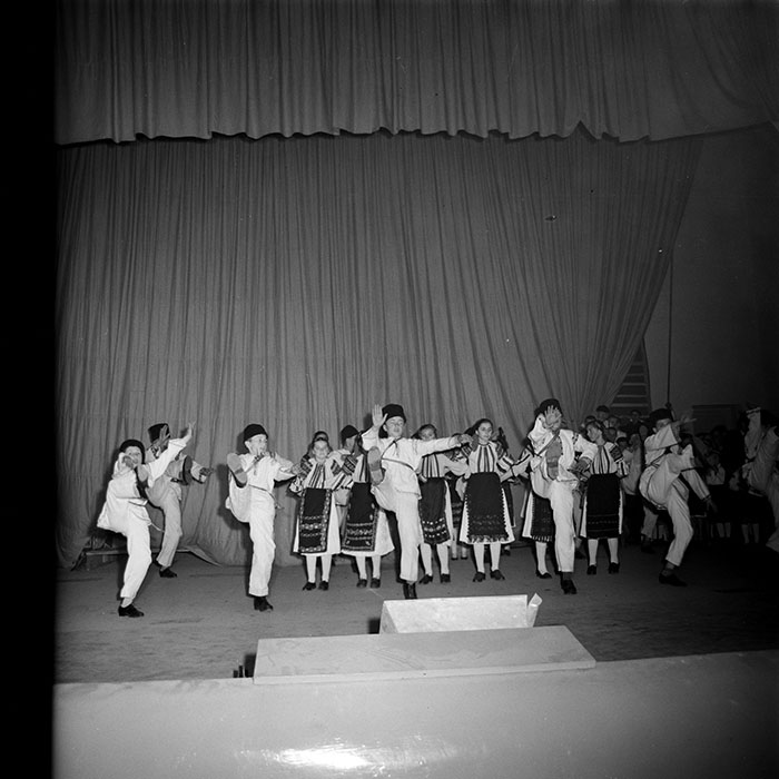 minerva_diverse_c1_c1_014