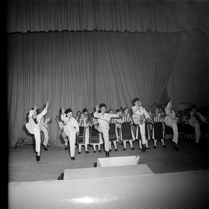 minerva_diverse_c1_c1_015