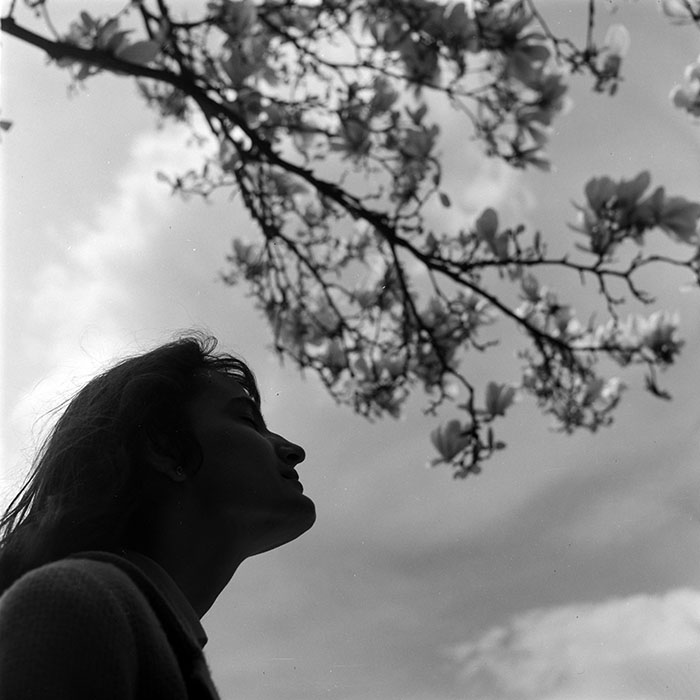 minerva_diverse_c1_c3_010