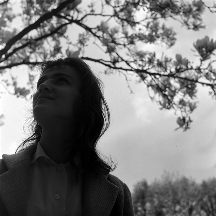 minerva_diverse_c1_c3_011