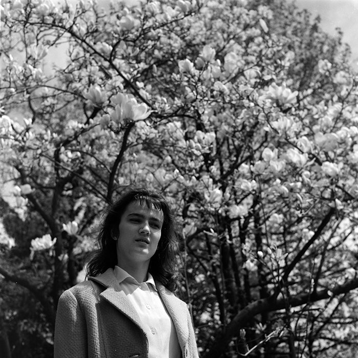 minerva_diverse_c1_c3_012