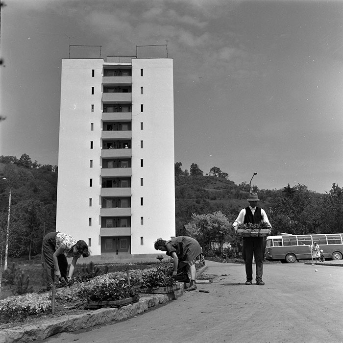 minerva_diverse_c1_c4_001