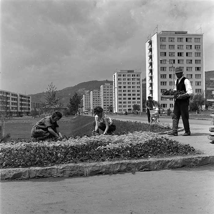 minerva_diverse_c1_c4_002