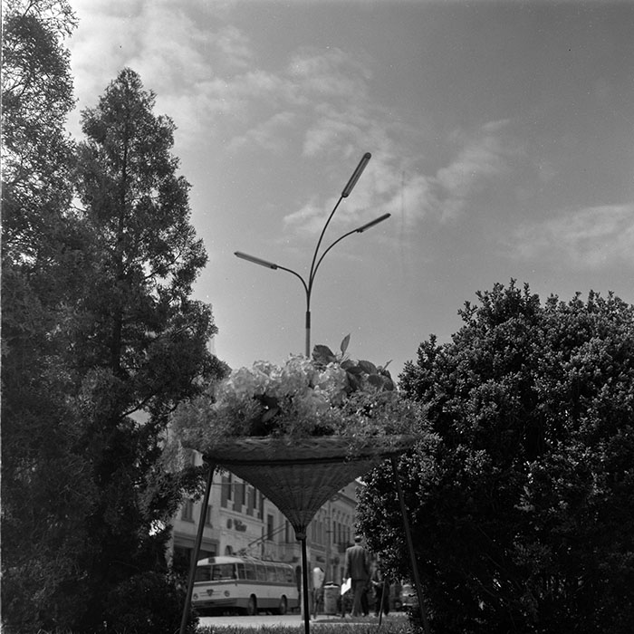 minerva_diverse_c1_c4_010